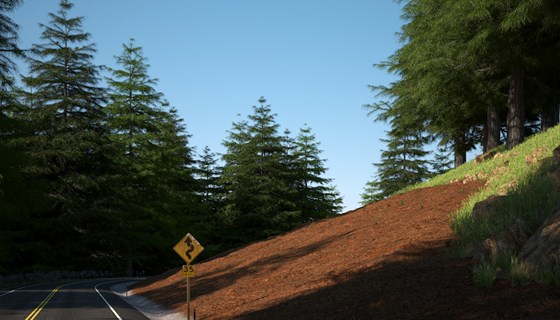 Roadside Revegetation: Visualization Tool